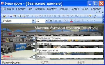 Рефераты | Рефераты по информатике, программированию | Разработка базы данных «Магазин бытовой техники “Электрон” средствами СУБД MS Access»