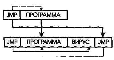 Рефераты | Рефераты по информатике, программированию | СОМ-вирусы