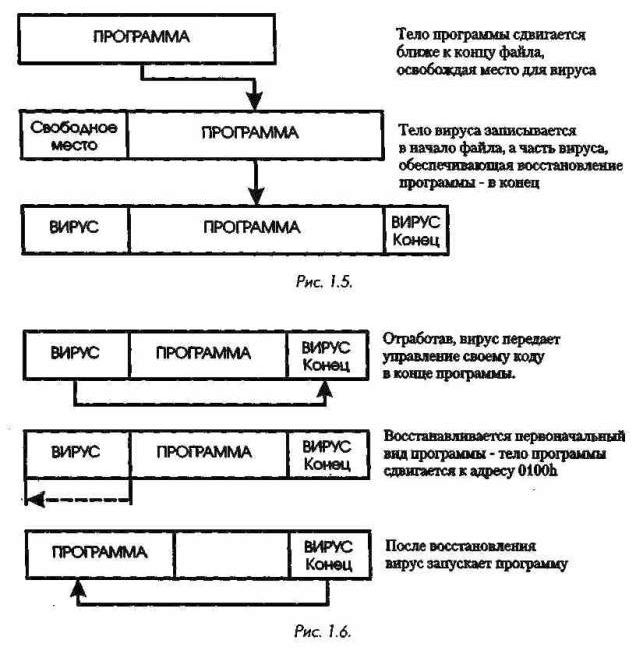 Рефераты | Рефераты по информатике, программированию | СОМ-вирусы