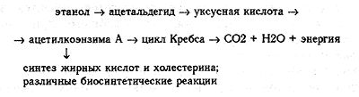 Рефераты | Рефераты по математике | Парниковый эффект, особенности допотопного климата