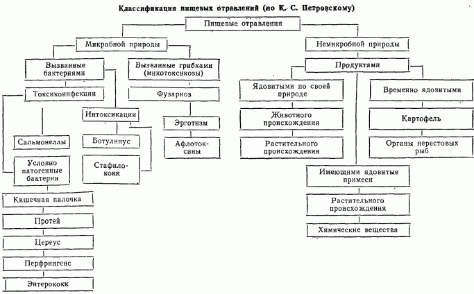 Рефераты | Рефераты по медицине | Гигиена питания