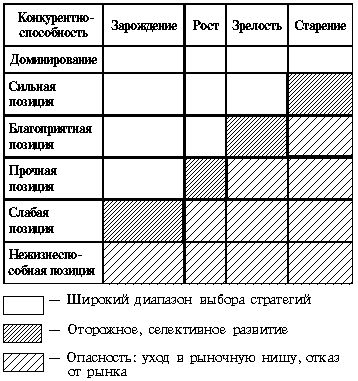 Рефераты | Рефераты по менеджменту | Оценка текущего состояния бизнеса и перспектив его развития