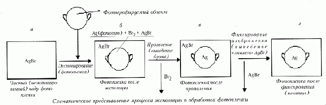 Рефераты | Рефераты по науке и технике | Основы фотографии. Фотохимические реакции