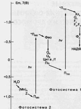 Рефераты | Рефераты по науке и технике | Энергоноситель