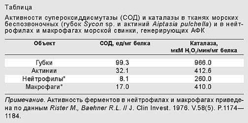 Рефераты | Рефераты по науке и технике | Незримое одеяние голых тварей