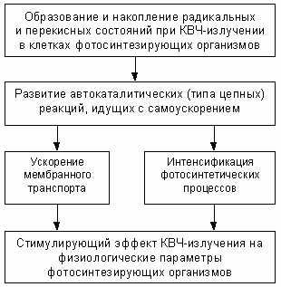 Рефераты | Рефераты по науке и технике | Некоторые новые представления о причинах формирования стимулирующих эффектов КВЧ-излучения