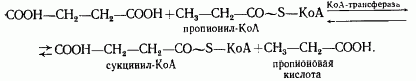 Рефераты | Рефераты по науке и технике | Эволюция энергетических процессов у эубактерий