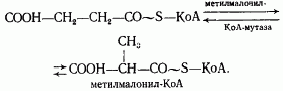 Рефераты | Рефераты по науке и технике | Эволюция энергетических процессов у эубактерий