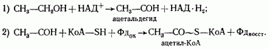 Рефераты | Рефераты по науке и технике | Эволюция энергетических процессов у эубактерий