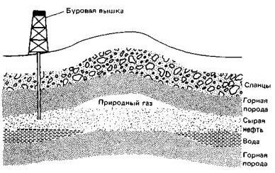 Рефераты | Рефераты по науке и технике | Природные источники углеводов, их получение и применениt