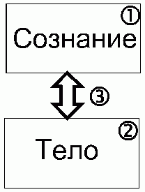 Рефераты | Рефераты по педагогике | Интегральная телесная терапия - новый взгляд на процесс и результат