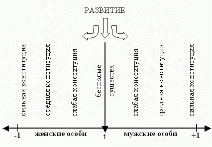 Рефераты | Рефераты по сексологии | Половая конституция человека и методы ее определения