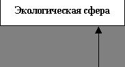 Рефераты | Рефераты по юридическим наукам | Менеджмент