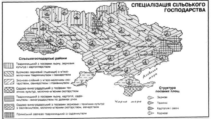 Рефераты | Топики по английскому языку | Регіональний розвиток харчової промисловості України