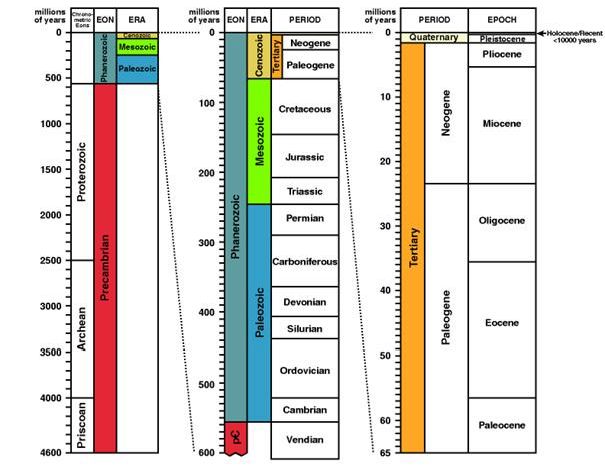 Рефераты | Топики по английскому языку | Geological Time Scale