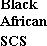 Подпись: Black
African
SCS
